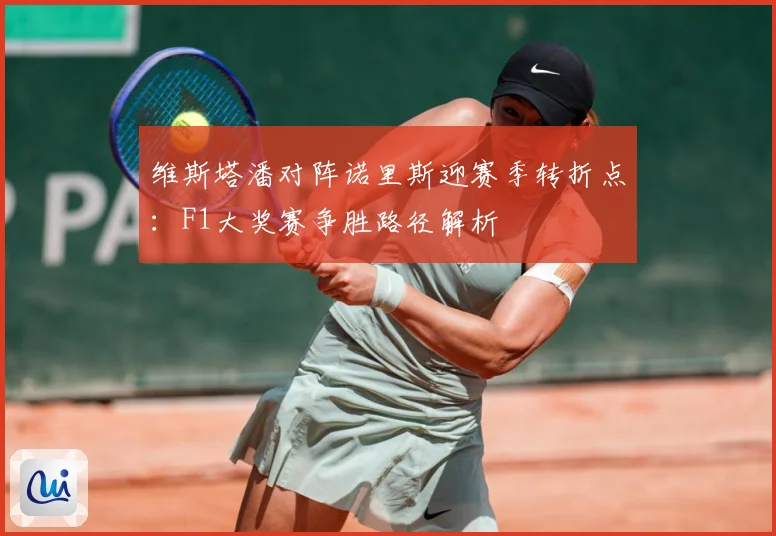 维斯塔潘对阵诺里斯迎赛季转折点：F1大奖赛争胜路径解析