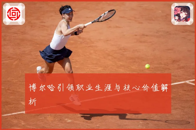 博尔哈引领职业生涯与核心价值解析