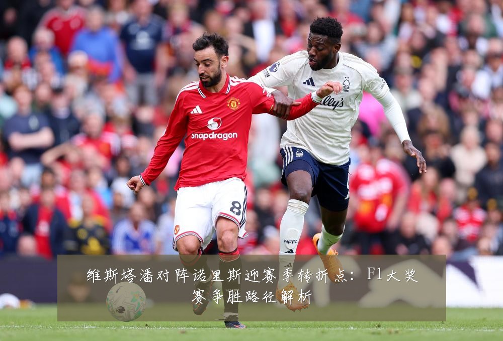 维斯塔潘对阵诺里斯迎赛季转折点：F1大奖赛争胜路径解析